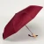 Cherry-10.webp