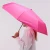 CS091_206.webp