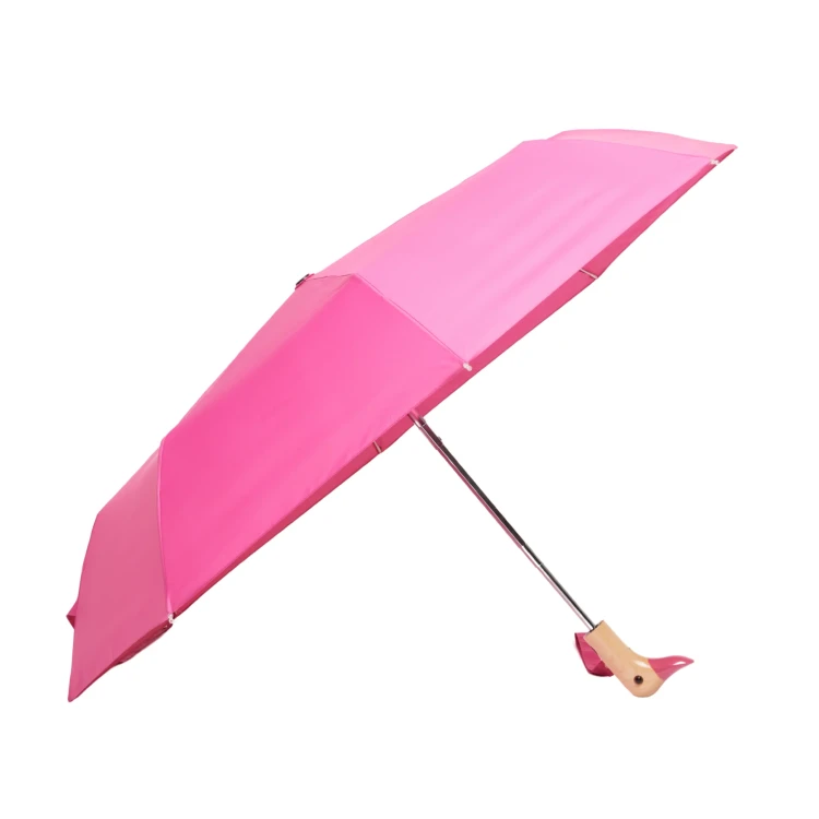 CS091_202.webp