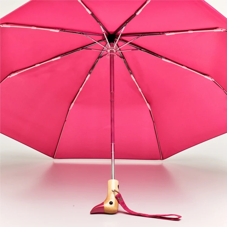 CS091_203.webp