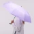 CS093_205.webp