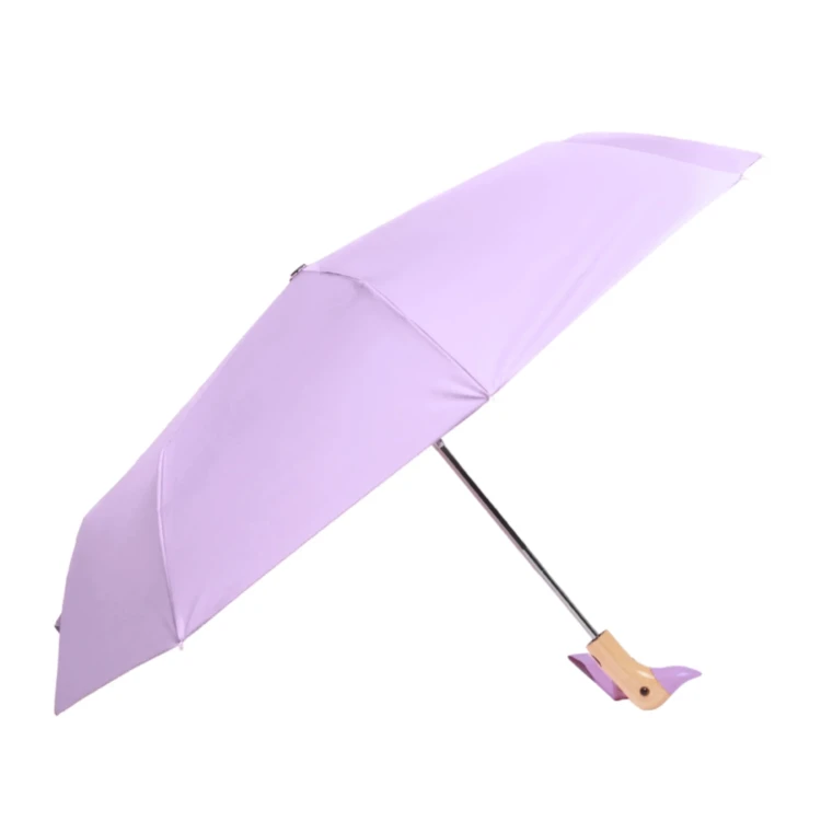 CS093_202.webp