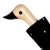 CC095_202.webp