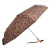 CP105_4.webp