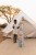 stacking-tower-LD7439-4.jpg