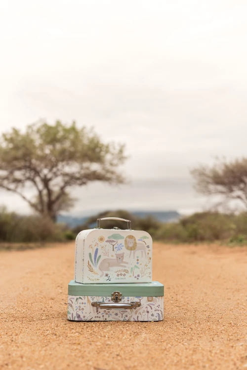 suitcase-set-green-LD7444-2.jpg