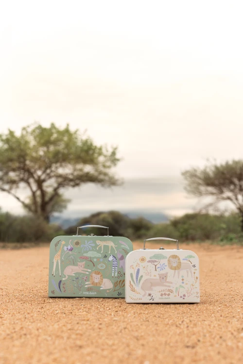 suitcase-set-green-LD7444-1.jpg
