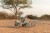 pol_pl_Little-Dutch-Drewniany-samochod-sorter-Safari-Friends-FSC-6213_9.jpg