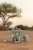 pol_pl_Little-Dutch-Drewniany-samochod-sorter-Safari-Friends-FSC-6213_7.jpg