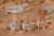pol_pl_Little-Dutch-Pociag-z-torami-Safari-Friends-FSC-6211_2.jpg