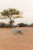 pol_pl_Little-Dutch-Drewniany-krokodyl-do-ciagniecia-Safari-Friends-6209_4.jpg