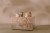 pol_pl_Little-Dutch-Drewniana-zabawka-pop-up-Safari-Friends-FSC-6206_8.jpg