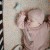 szu.a133a180d3214dee84a594fe0cbf7c59.jpg