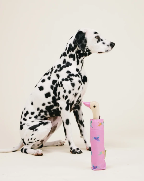 parasolka-kaczka-pieski-dogs-in-pink-original-duckhead (3).webp
