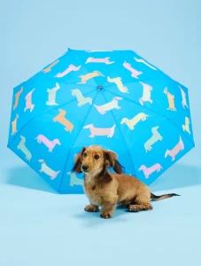 parasolka-kaczka-pieski-dogs-in-blue-original-duckhead (2).webp