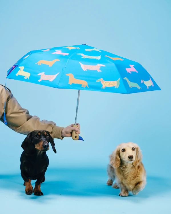 parasolka-kaczka-pieski-dogs-in-blue-original-duckhead (3).webp