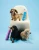 parasolka-kaczka-pieski-dogs-in-blue-original-duckhead (4).webp