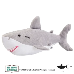 K7923-AAN-Great-White-Shark-2021.webp