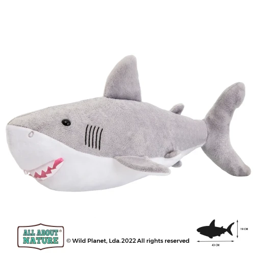 K7923-AAN-Great-White-Shark-2021.webp