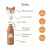 butelka-termiczna-lis-400ml-zazu (3).jpg