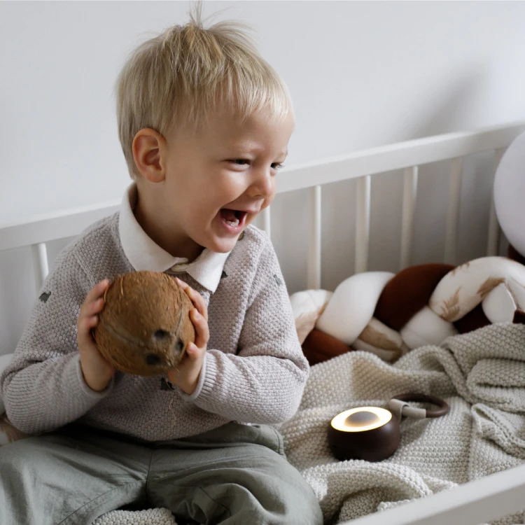 CocoNap W1 odtwarzacz MP3 i lampka do karmienia kokos Alilo