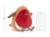Rudzik Plum 20 cm Jellycat wymiary