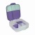 Lunchbox-lilac-pop-4.jpg