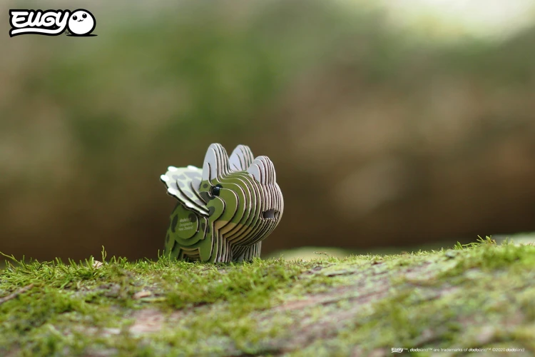 06_tricera_07.JPG
