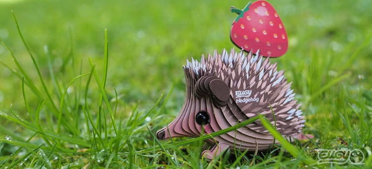 026_hedgehog_5_2_JPG.jpg