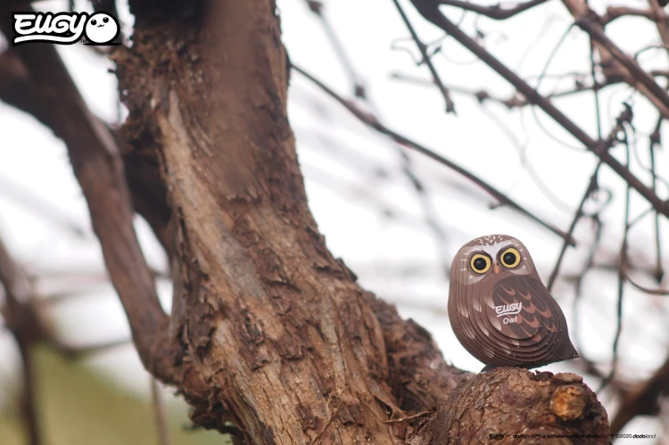 44_owl_05.JPG