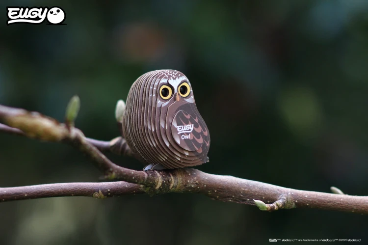 44_owl_07.JPG
