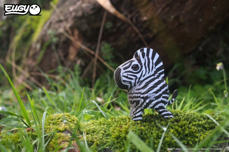 11_zebra_04.JPG