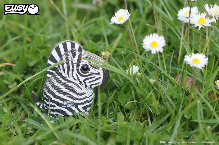 11_zebra_06.JPG