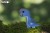01-bronto-01.jpg