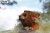 lion_01.JPG
