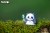13_panda_01.JPG