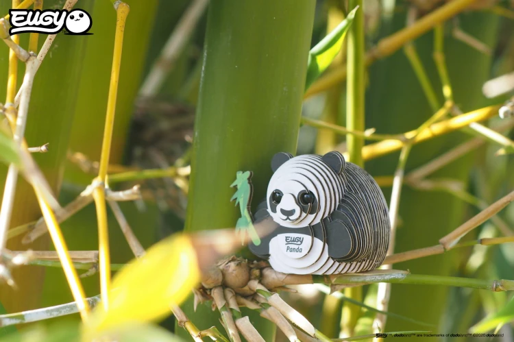 13_panda_04.JPG