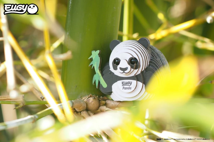 13_panda_05.JPG