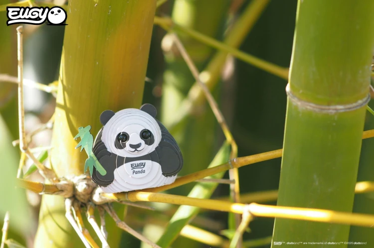 13_panda_06.JPG