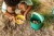 pol_pl_QUUT-Wiaderko-z-sitkiem-Bucki-Garden-Green-8306_5.jpg