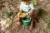 pol_pl_QUUT-Wiaderko-z-sitkiem-Bucki-Garden-Green-8306_6.jpg