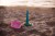 pol_pl_QUUT-Set-plazowy-Triplet-Ringo-Magic-Sharpers-Sun-w-worku-6256_14.jpg