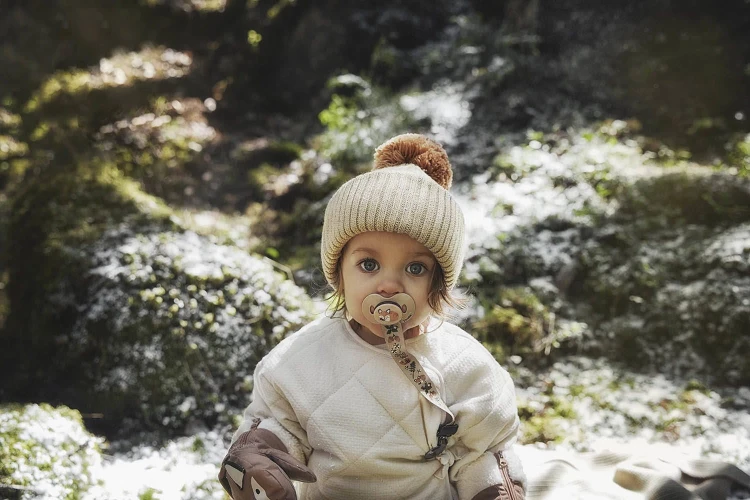 pol_pl_Elodie-Details-Smoczek-Florian-the-Fox-9888_1.jpg