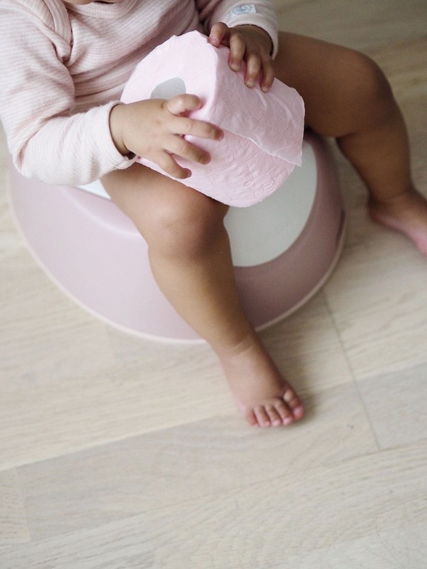 Nocnik z wyjmowanym wkładem Old Pink Beaba
