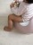 920358-3384349203580-Beaba-Nocnik-z-wyjmowanym-wkladem-Old-Pink-NOWA-KOLEKCJA-lifestyle-(3).jpg