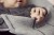 6e9380521444d244daee11699c44e69c