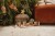 LD4862 - Nativity Scene (22).jpg