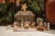 LD4862 - Nativity Scene (24).jpg