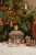 LD4862 - Nativity Scene (26).jpg