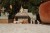 LD4862 - Nativity Scene (31).jpg